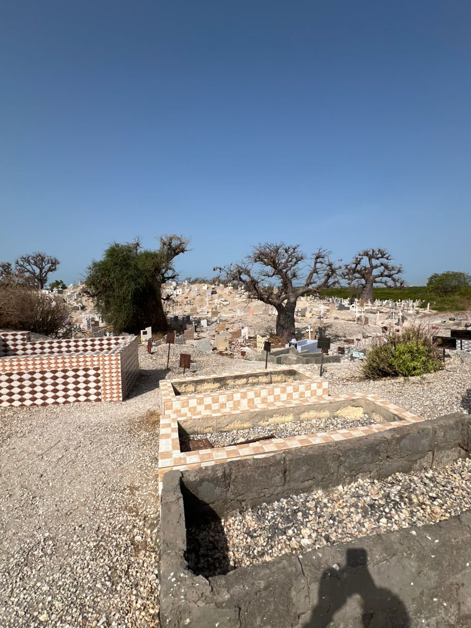 Isla de las conchas