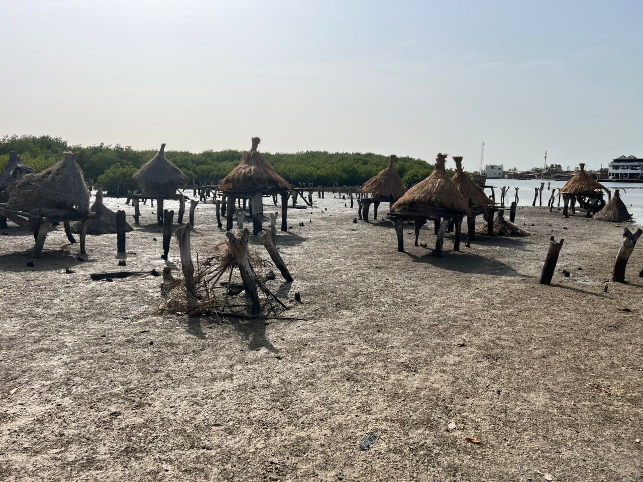 Isla de las conchas