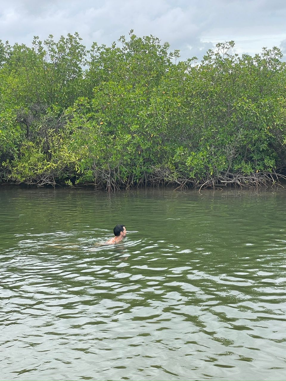 Sine Saloum Delta
