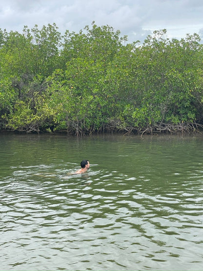 Sine Saloum Delta
