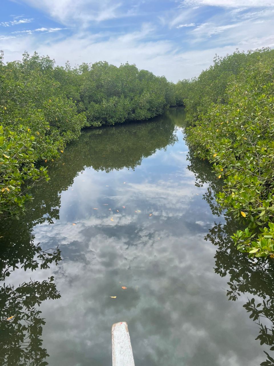 Sine Saloum Delta