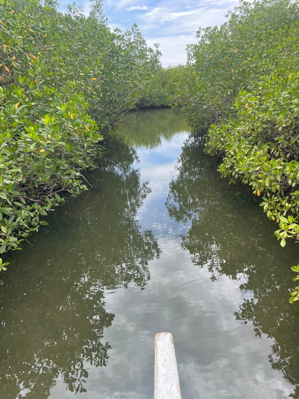 Sine Saloum Delta