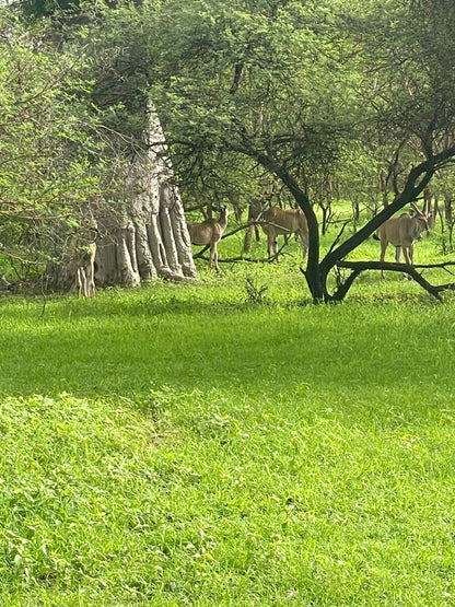 Bandia Reserve