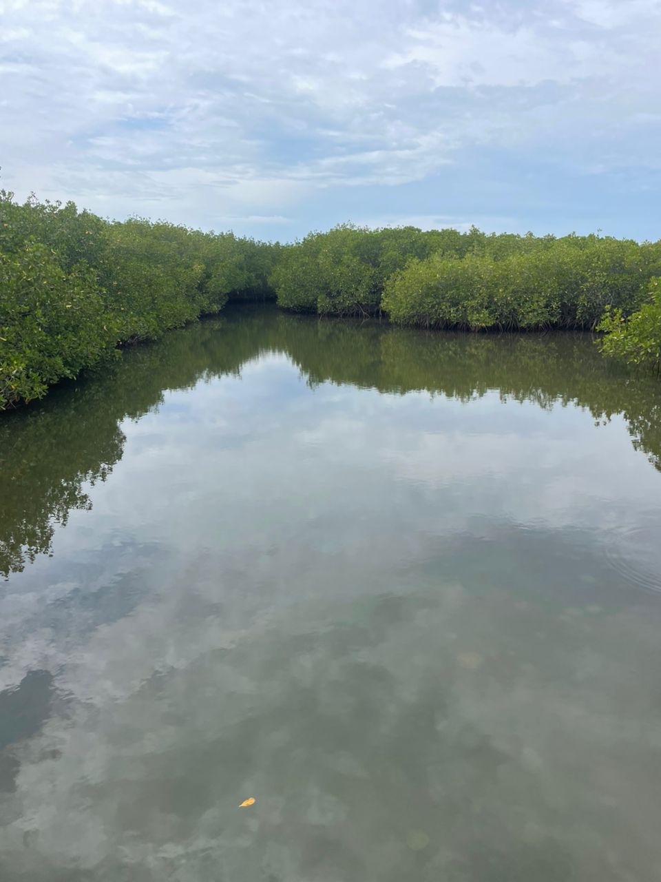 Sine Saloum Delta