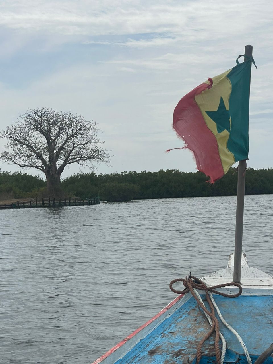 Sine Saloum Delta