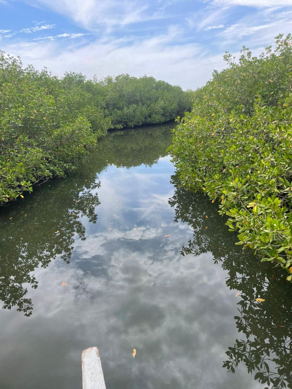 Sine Saloum Delta