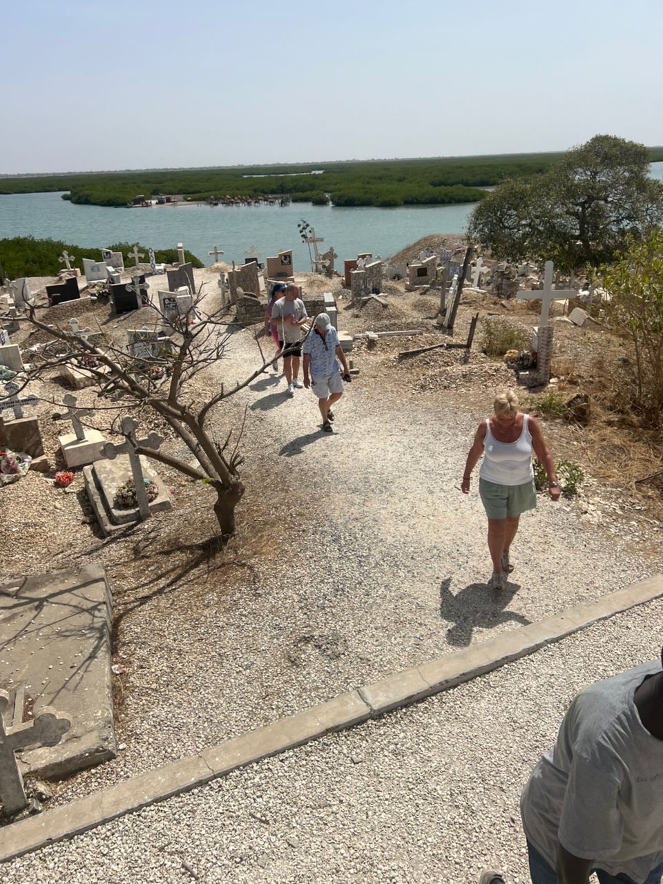 Shell Island