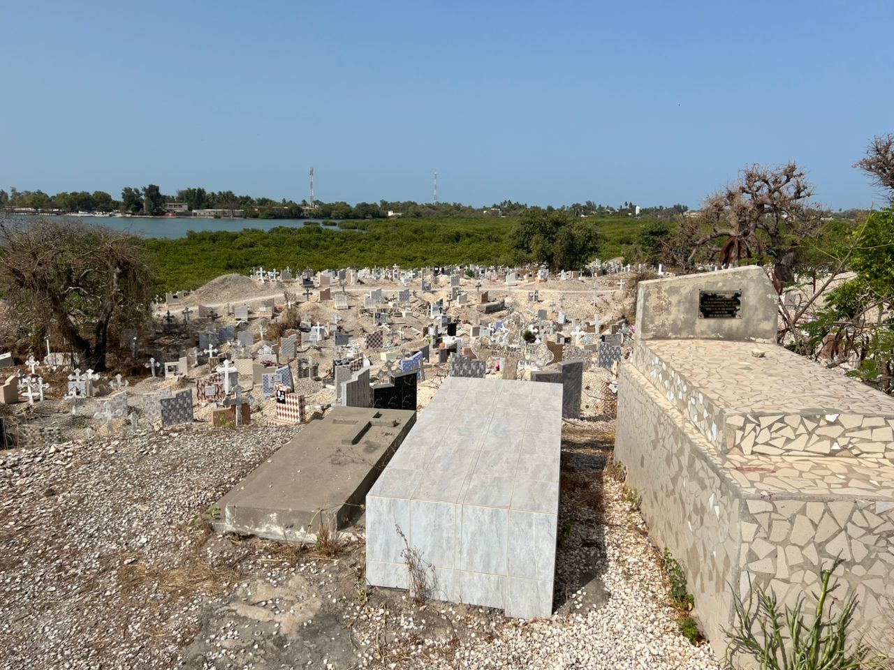 Shell Island