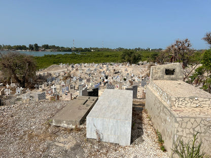Shell Island
