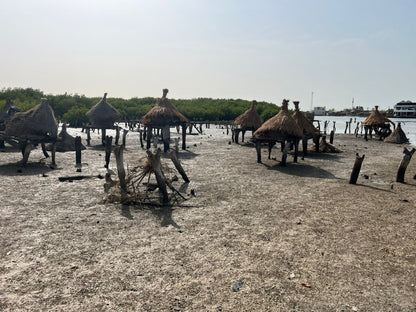 Shell Island